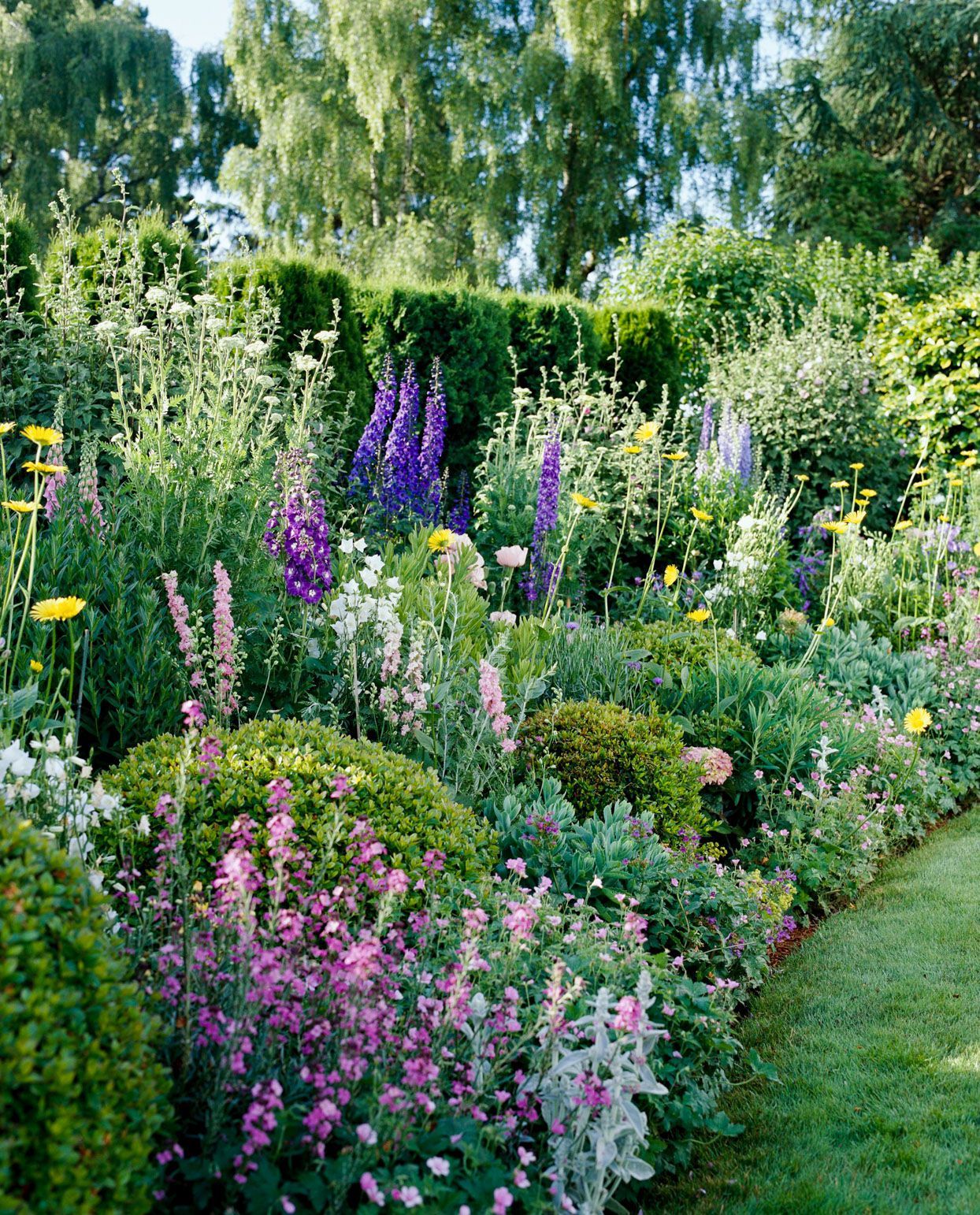 Charming and Beautiful Cottage Garden Design for Your Home