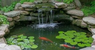 small garden ponds ideas