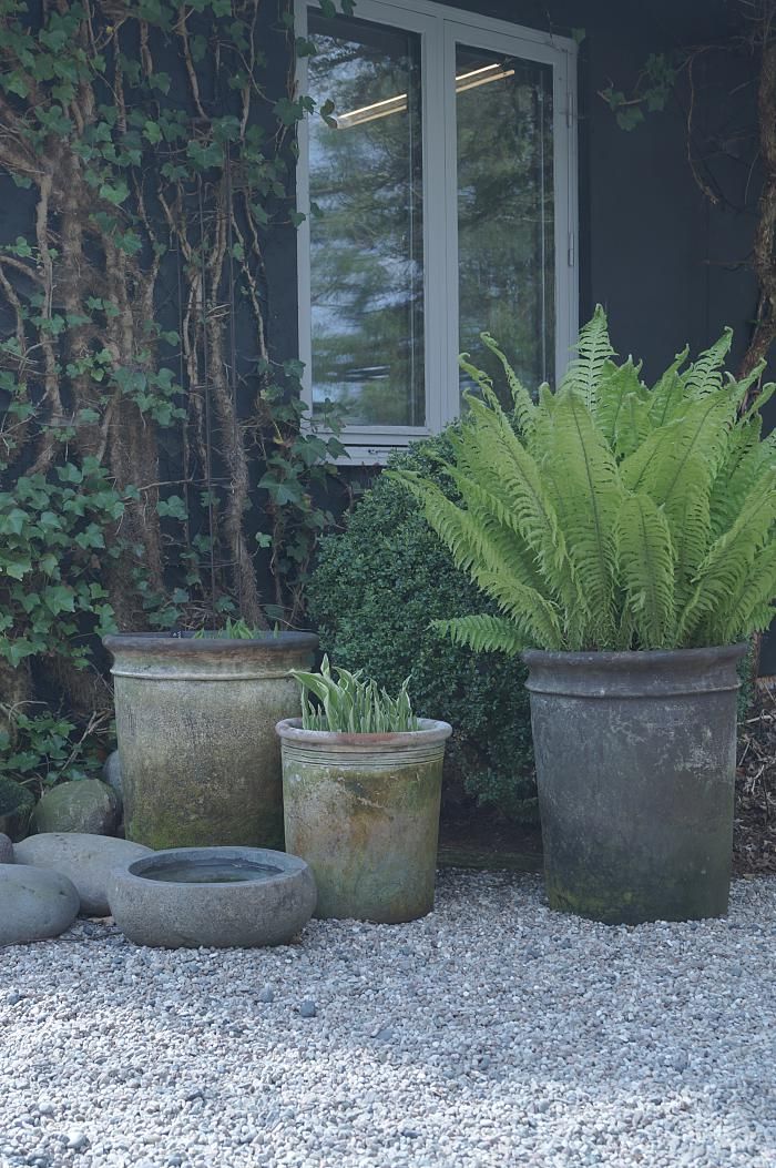 Choosing the Perfect Garden Planter Pots
for Your Plants