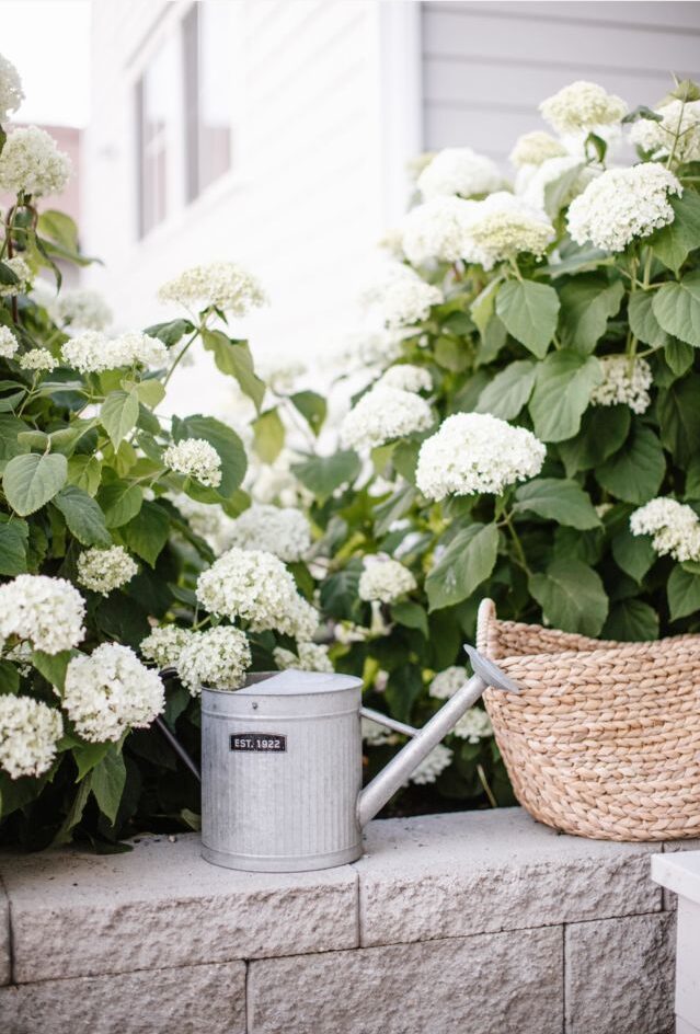 Classic French Garden Planters: Elegance for Your Outdoor Space