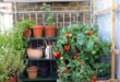 small balcony garden