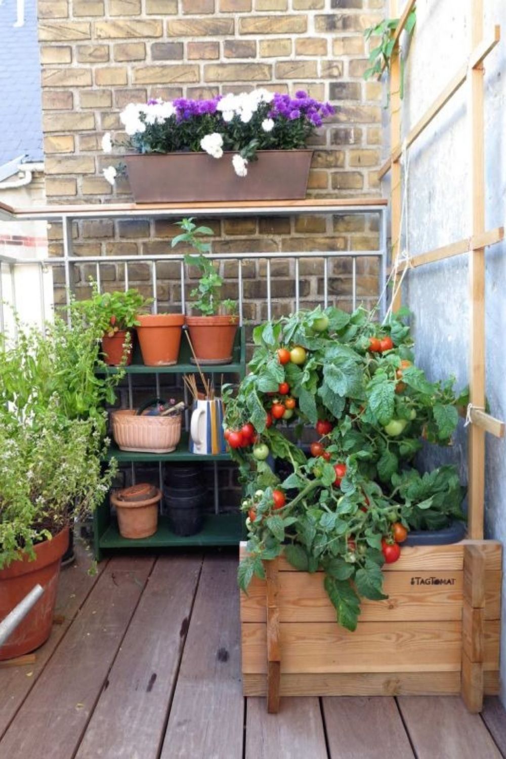 Compact Balcony Garden: Creating a Lush Oasis in a Limited Space