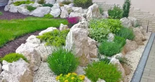 small garden rockery