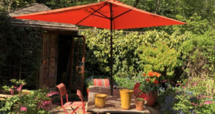 small garden umbrella