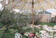 small garden umbrella