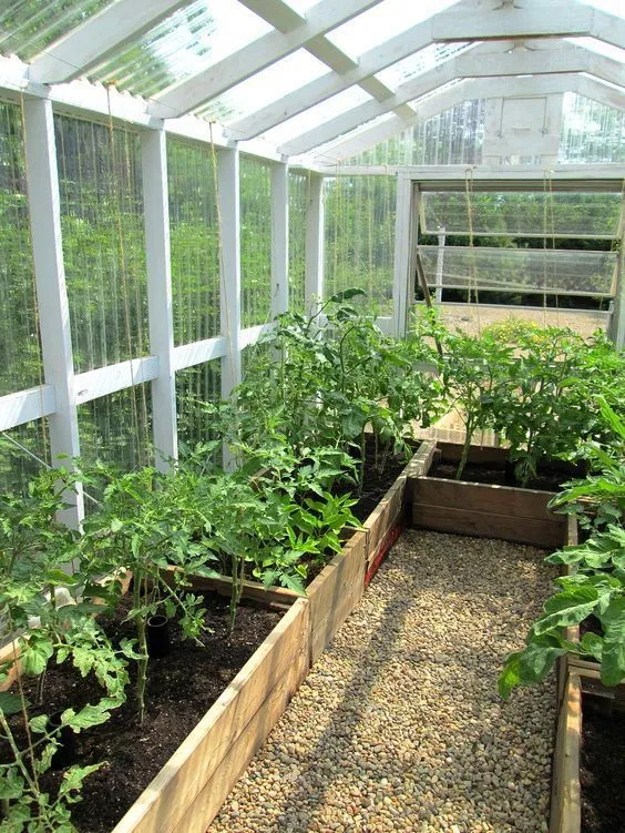 Compact Greenhouse Designs for Urban Gardens