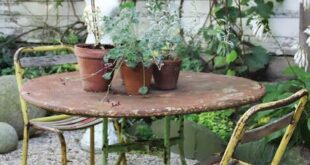 small garden table and chairs