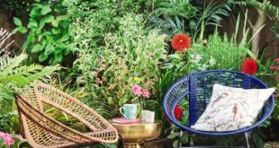 small garden table and chairs