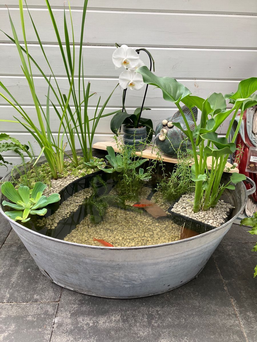 Creative Ideas for Designing Small Garden Ponds