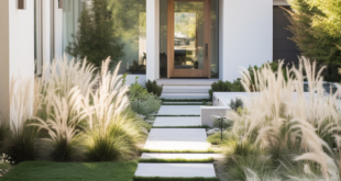 modern landscape design front yard