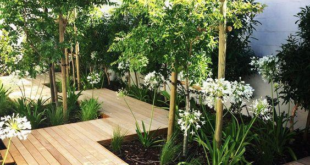 modern garden ideas