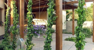 modern pergola ideas