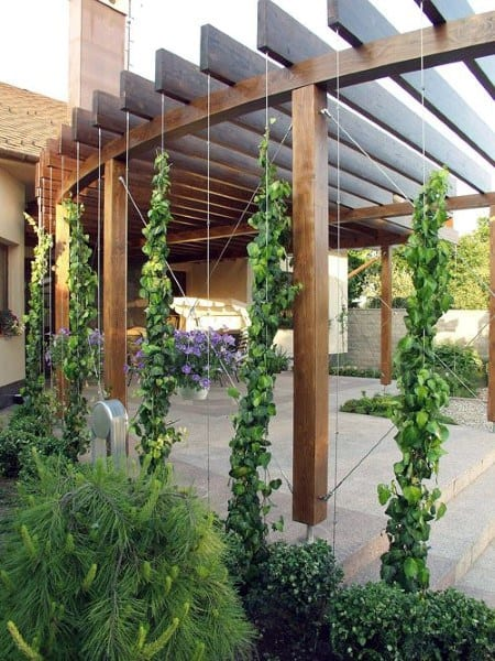 Contemporary Styling Ideas for Pergolas