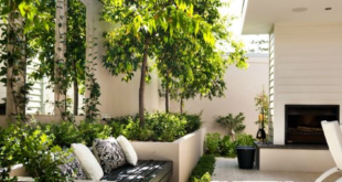 modern garden ideas