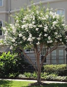 Crafting Beautiful Front Yard Landscapes: A Guide to Enhancing Your Home’s Curb Appeal