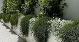 landscaping designs