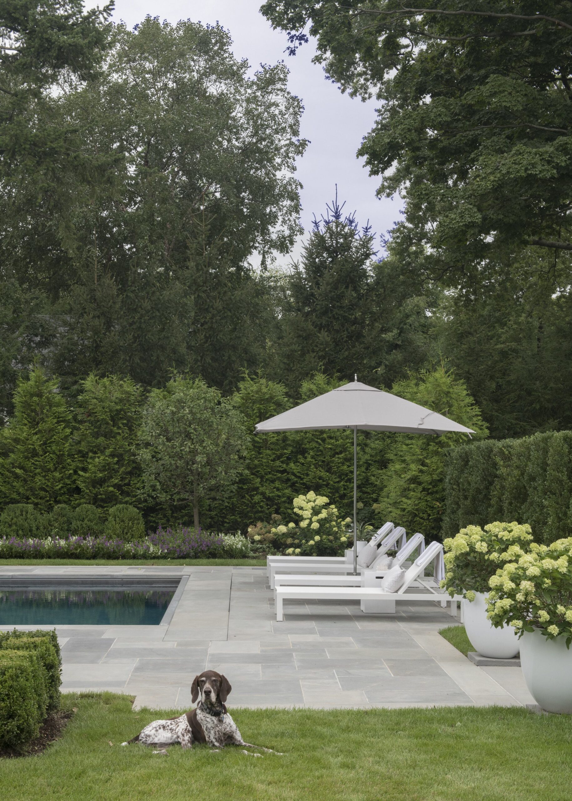 Crafting the Perfect Pool: A Guide to Innovative Design