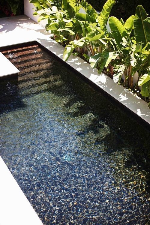 Create A Beautiful Oasis in Your Backyard with a Pool