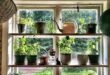 indoor herb garden