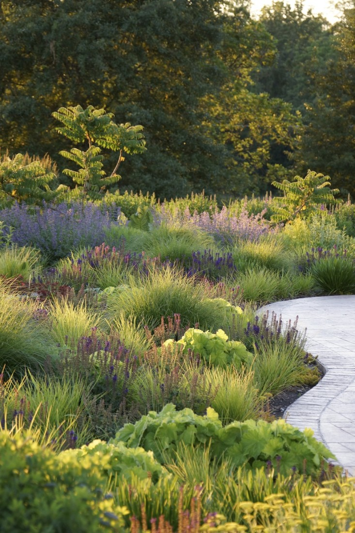 Create a Beautiful Garden Landscape with These Tips