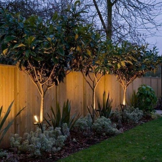 Create a Lush Outdoor Oasis with These Backyard Landscaping Ideas