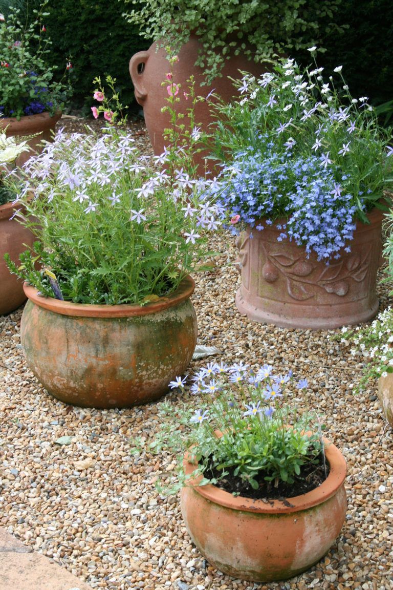 Create a Lush and Vibrant Cottage Garden with These Design Tips