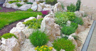 rock garden landscaping