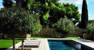 pool landscaping ideas