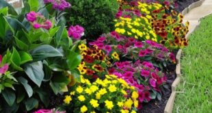 landscaping flower beds