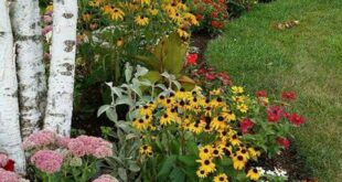 front yard flower beds