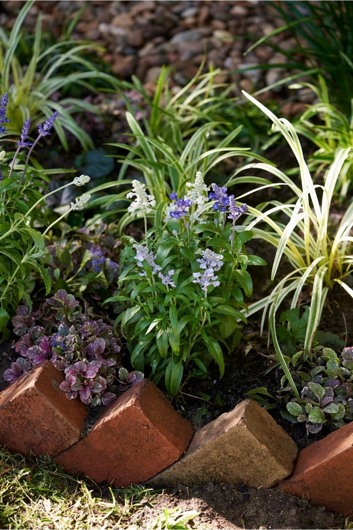 Creating Beautiful Garden Border Edging