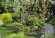 garden design borders