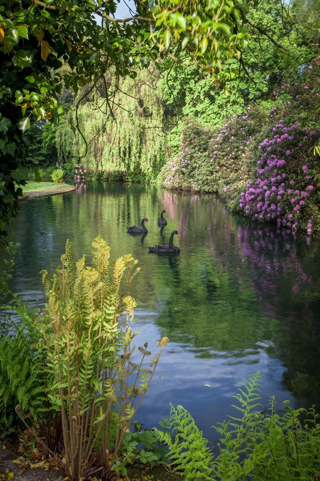 Creating Beautiful Garden Borders: A Guide to Designing Stunning Edges for Your Garden