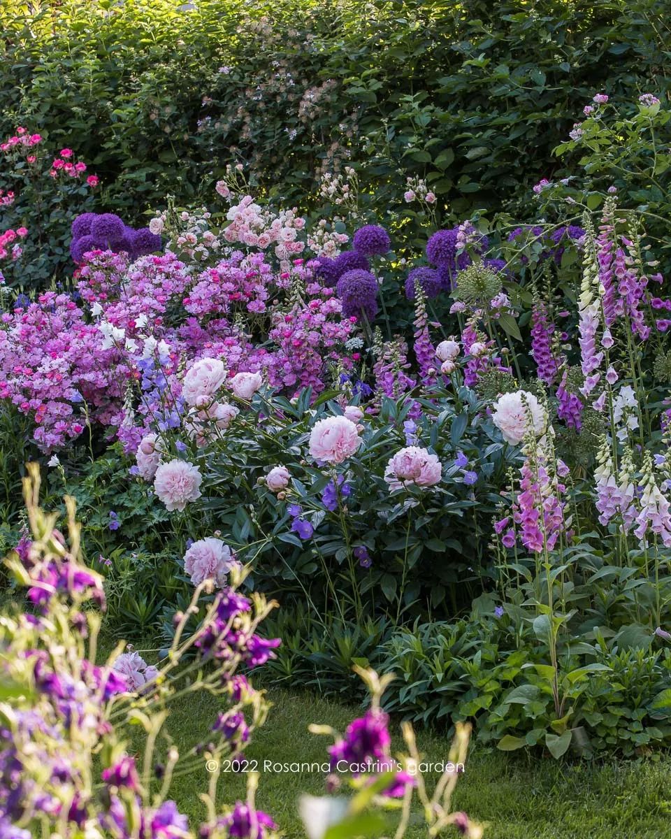 Creating Beautiful Garden Borders: A Guide to Designing Your Outdoor Space