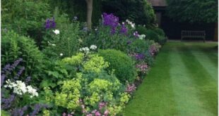 garden design borders