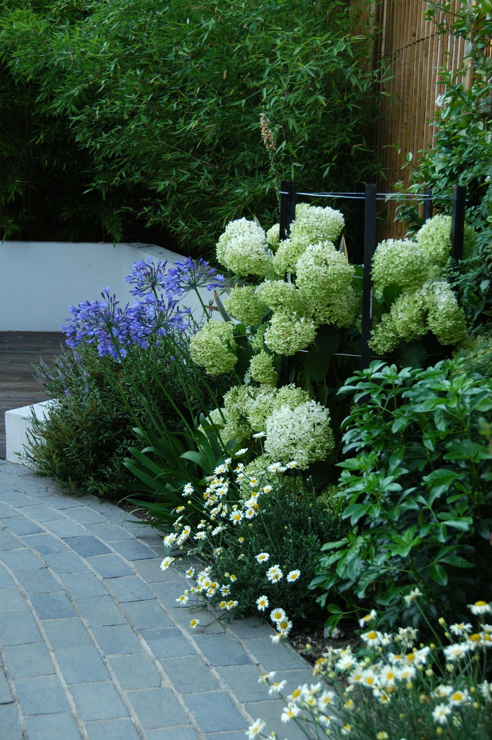 Creative Front Garden Design Ideas to Enhance Your Curb Appeal