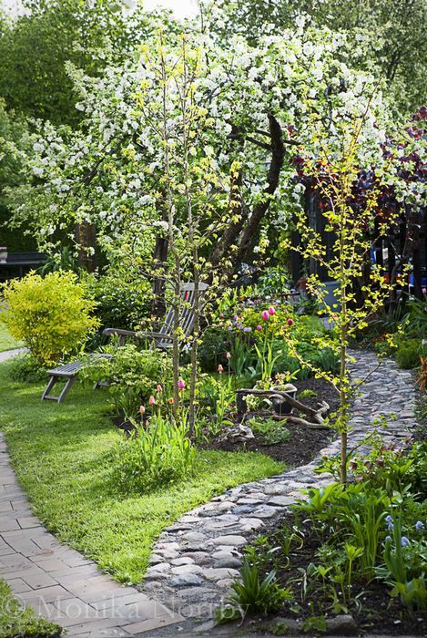 Creating Beautiful Garden Borders