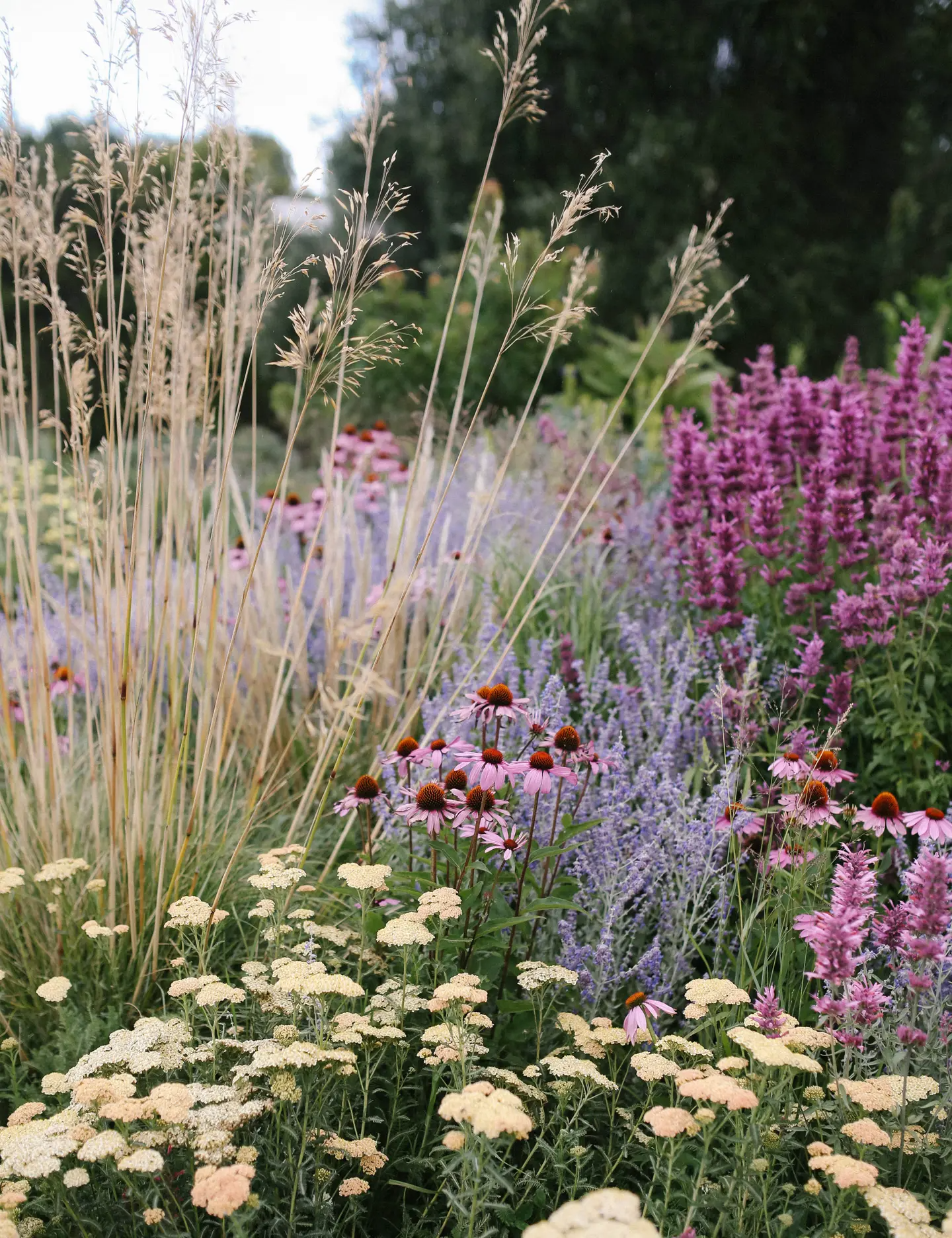 Creating Beautiful Garden Design Borders: A Guide to Enhancing Your Outdoor Space