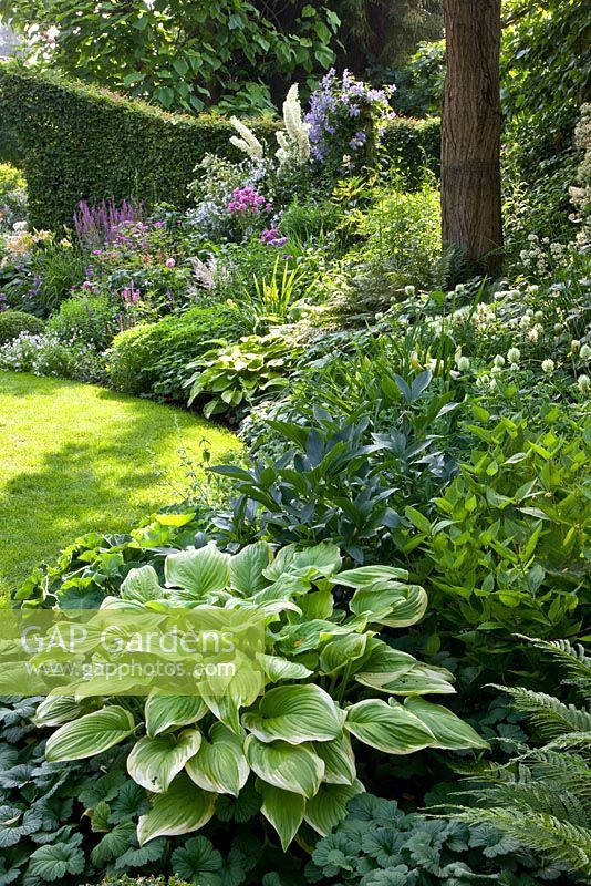 Creating Beautiful Garden Edges