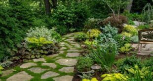 garden paths and walkways