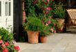 garden paving