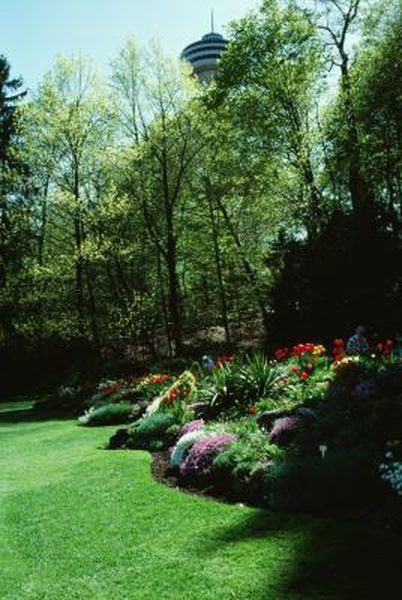 Creating Beautiful Landscape Mounds for Your Garden