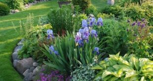 landscaping designs