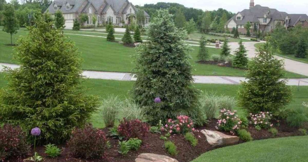 landscaping mounds