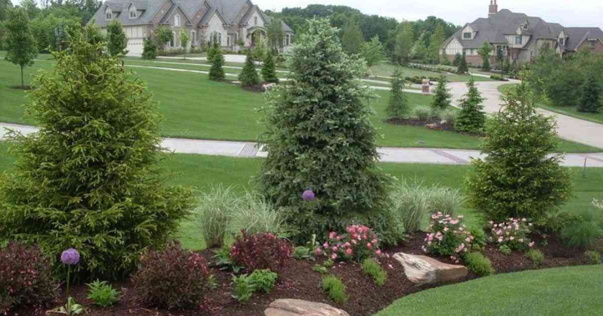 Creating Beautiful Landscaping Mounds: A Guide to Elevating Your Outdoor Space