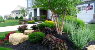 landscaping mounds