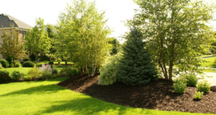 landscaping mounds