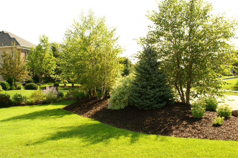 Creating Beautiful Landscaping with Mounds