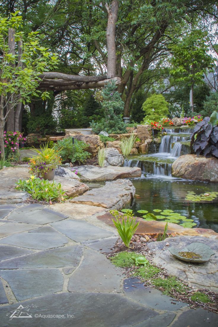 Creating Beautiful Water Gardens for a Tranquil Oasis