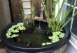 small garden ponds ideas